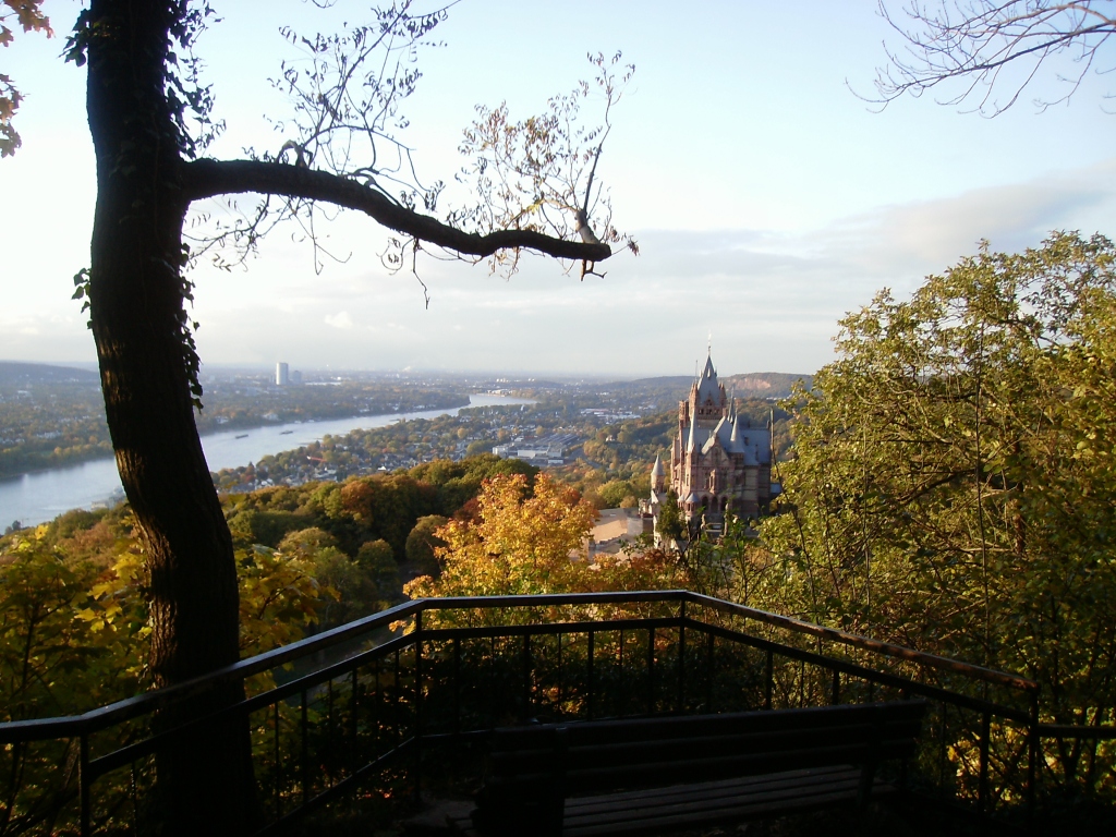 Top 7 Places to See in Bonn
